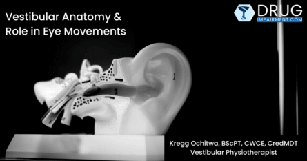Vestibular Anatomy and Role in Eye Movements Course Cover