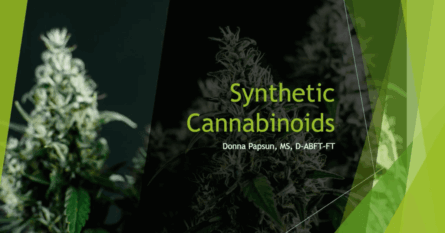Synthetic Cannabinoids Impairment Course Cover